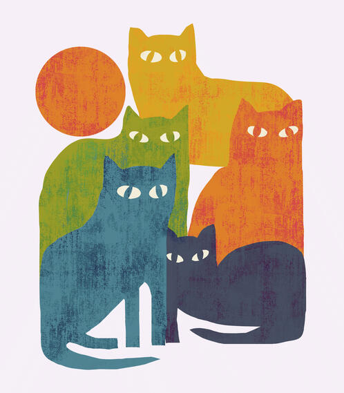 street cats